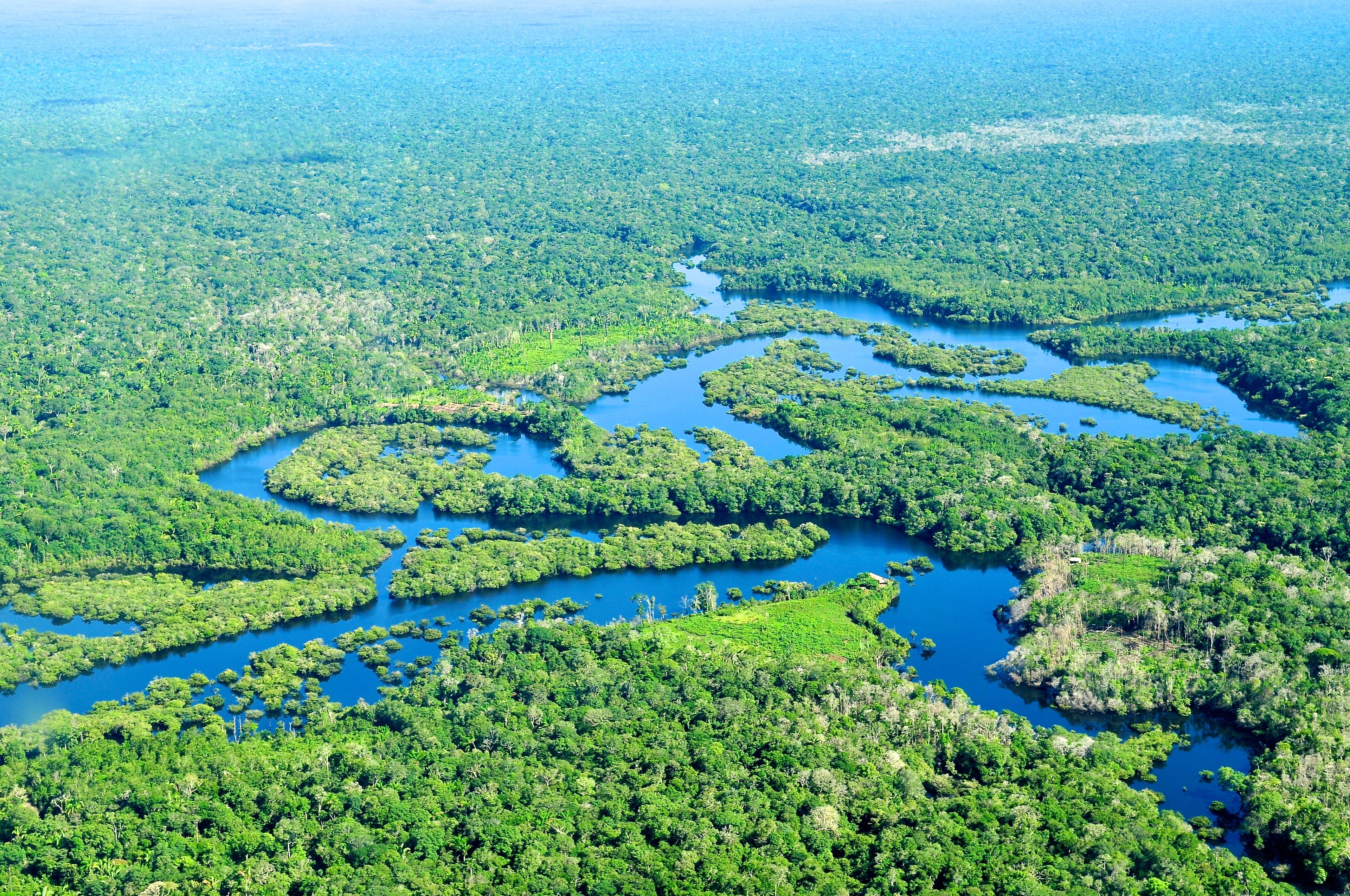 Deforested rainforest