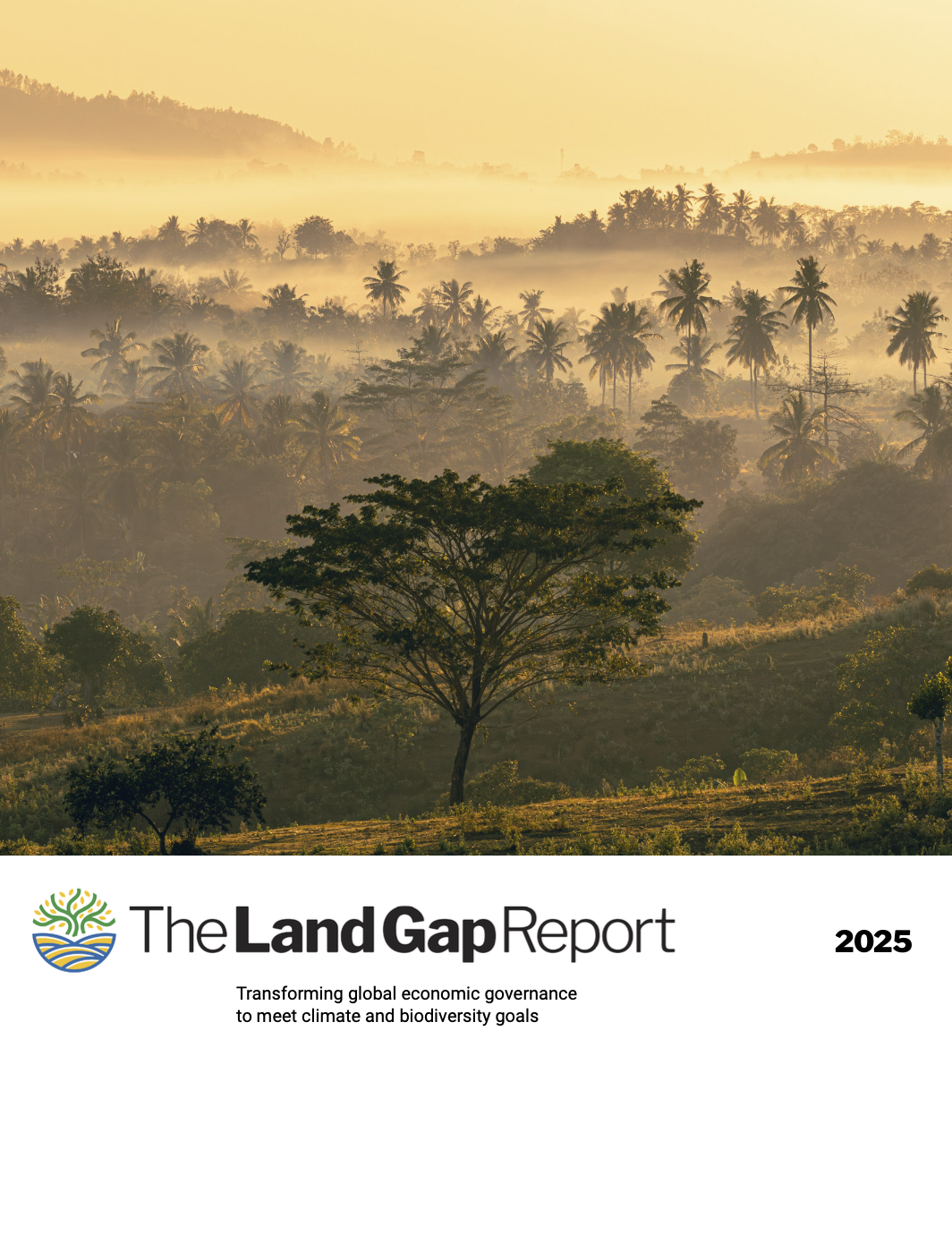 2025 Land Gap Report Press Release: COP30 Climate Pledges Lean Heavily on Land-Based Carbon Removal Over Reducing Emissions by Protecting Forests